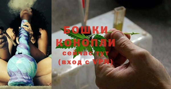 хмурый Вяземский