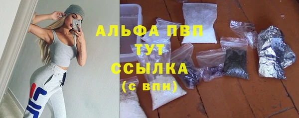 ECSTASY Вязьма