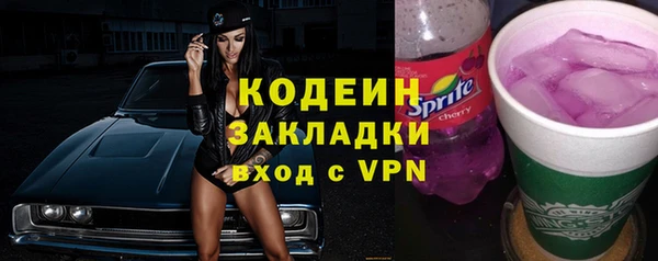 хмурый Вяземский