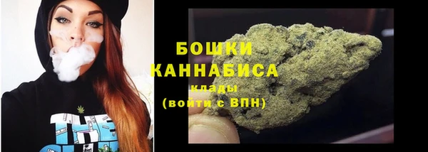 хмурый Вяземский