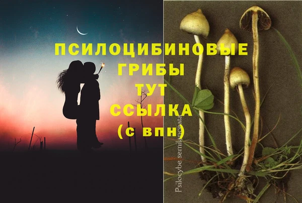 ECSTASY Вязьма