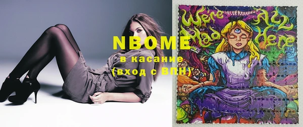 хмурый Вяземский