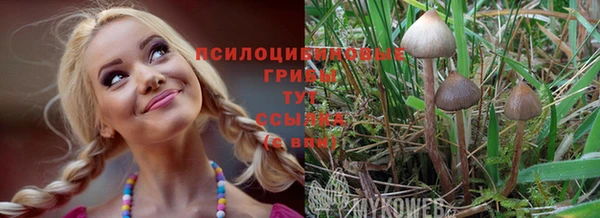 прущий лед Вязники