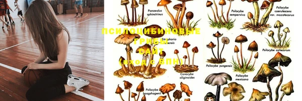 прущий лед Вязники