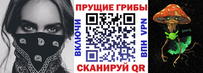 Галлюциногенные грибы Cubensis  Невинномысск 